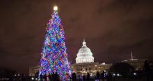 Lighted Christmas tree in front of U.S. Capitol building.